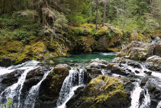 opal creek trail oregon